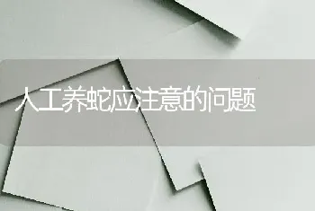 人工养蛇应注意的问题