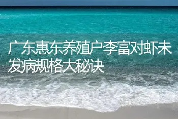 广东惠东养殖户李富对虾未发病规格大秘诀