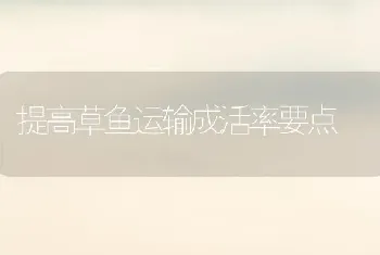 提高草鱼运输成活率要点