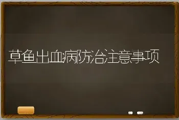 草鱼出血病防治注意事项