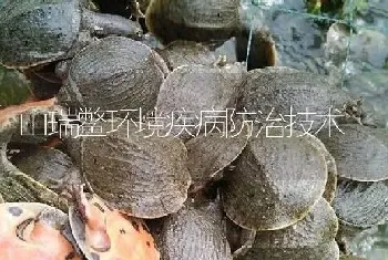 山瑞鳖环境疾病防治技术