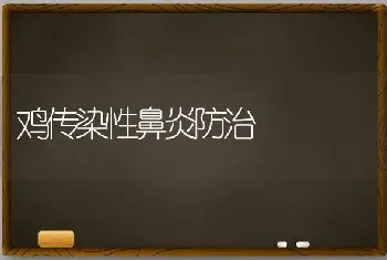 鸡传染性鼻炎防治