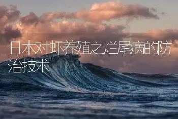 日本对虾养殖之烂尾病的防治技术