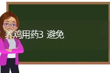 养鸡用药3避免