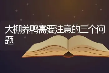 大棚养鸭需要注意的三个问题