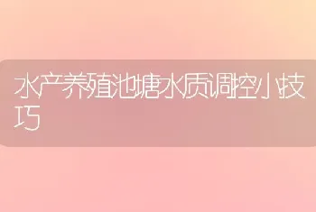 水产养殖池塘水质调控小技巧