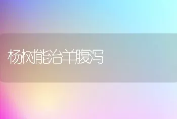 杨树能治羊腹泻