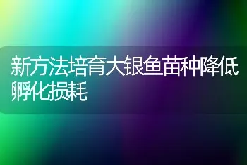 新方法培育大银鱼苗种降低孵化损耗