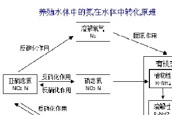 氨氮这个指标好弄却经常反弹,控制不好的话,鱼虾蟹养殖如履薄冰