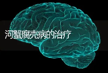 河蟹腐壳病的治疗