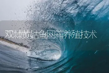 双棘黄姑鱼网箱养殖技术