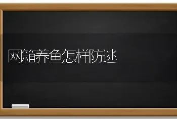 网箱养鱼怎样防逃