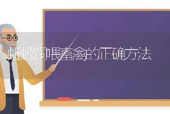 蚯蚓饲喂畜禽的正确方法