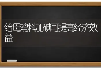 给母鸡料加碘可提高经济效益