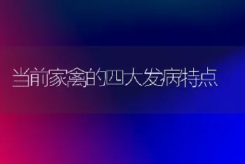 当前家禽的四大发病特点