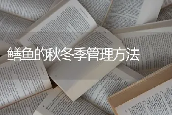 鳝鱼的秋冬季管理方法