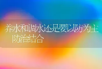 养水和调水还是要以防为主 防治结合