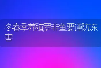 冬春季养殖罗非鱼要谨防冻害