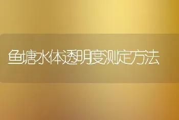 鱼塘水体透明度测定方法