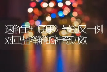 速解宝+底康3号的又一例对亚盐降解的神奇功效