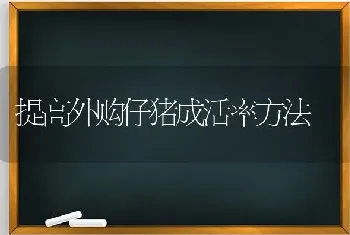 提高外购仔猪成活率方法