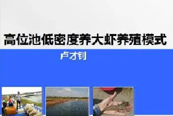 高位池低密度鱼虾混养模式分享