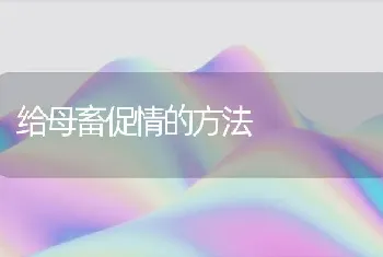 给母畜促情的方法