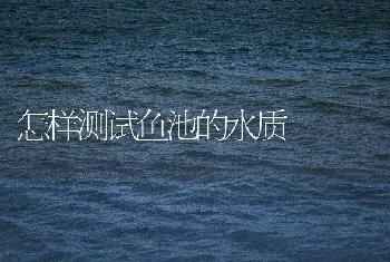 怎样测试鱼池的水质