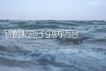 锦鲤粘孢子虫病防治