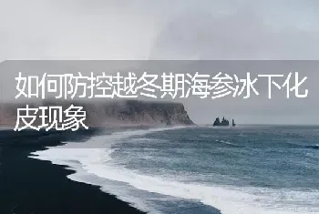 如何防控越冬期海参冰下化皮现象