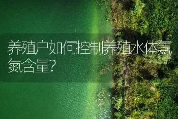 养殖户如何控制养殖水体氨氮含量?