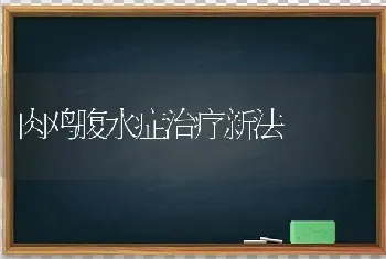 肉鸡腹水症治疗新法