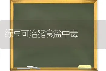 绿豆可治猪食盐中毒