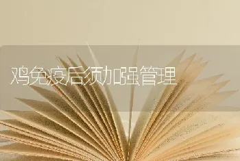 鸡免疫后须加强管理