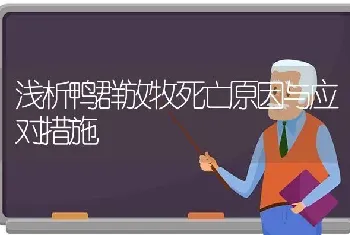 浅析鸭群放牧死亡原因与应对措施