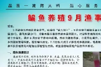 九月份鳊鱼养殖户需要关注的三大方面技术管理