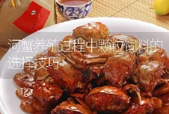 河蟹养殖过程中颗粒饲料的选择技巧