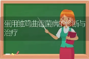 蛋用雏鸡曲霉菌病的诊断与治疗