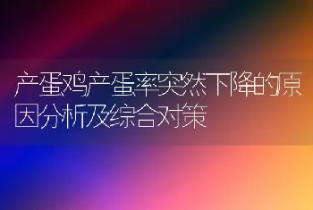 产蛋鸡产蛋率突然下降的原因分析及综合对策