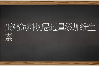 蛋鸡饲料切忌过量添加维生素