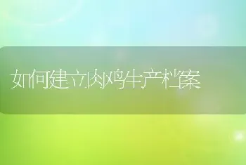 如何建立肉鸡生产档案