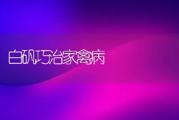 白矾巧治家禽病