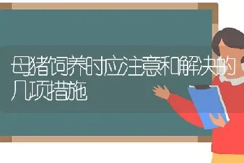 母猪饲养时应注意和解决的几项措施