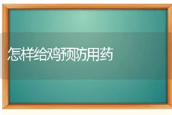 怎样给鸡预防用药