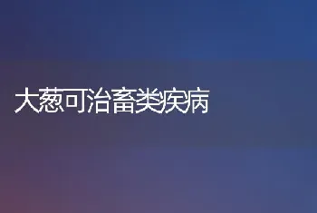 大葱可治畜类疾病