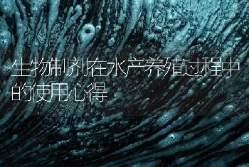 生物制剂在水产养殖过程中的使用心得