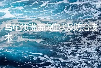 乌龟颈溃疡病症状及防治技术