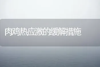 肉鸡热应激的缓解措施