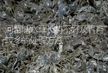 河蟹塘水草长势不好及青苔较多的处理方法