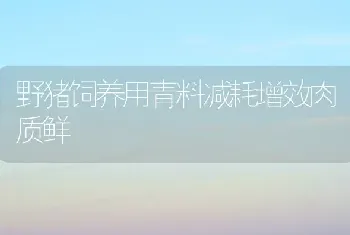 野猪饲养用青料减耗增效肉质鲜